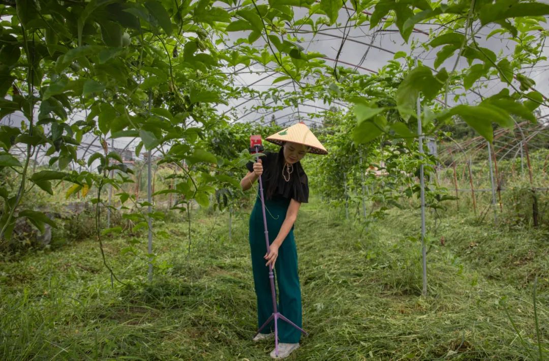 90后新农人直播视频,90后新农人创业故事