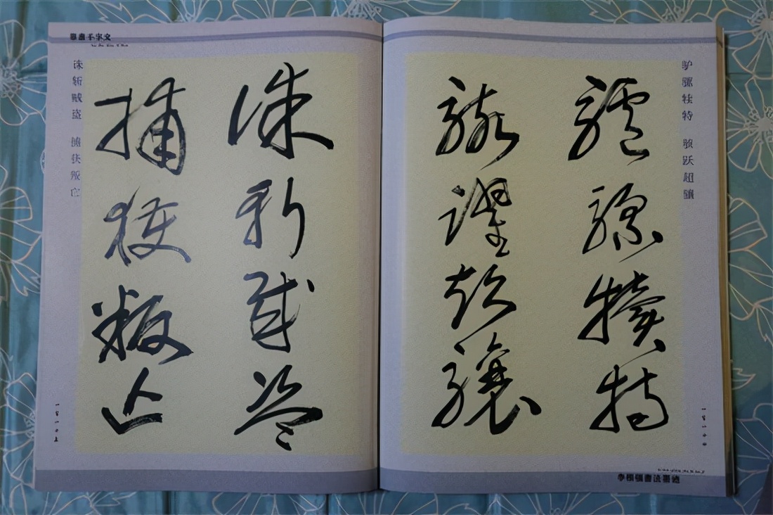 草书千字文真迹,书法千字文作品欣赏启功先生