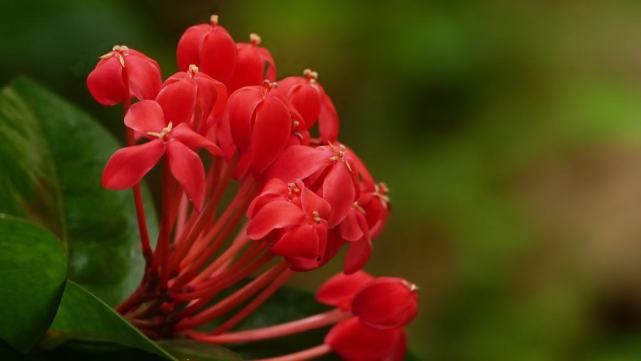 怎么安抚生气的金牛,怎样哄十二星座生气的人