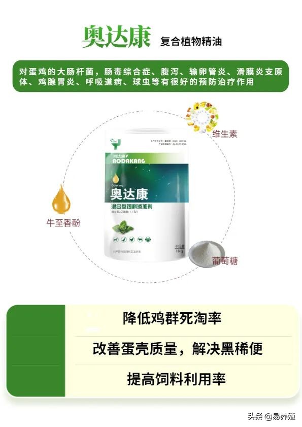 易养殖:带你治好鸡腺胃炎