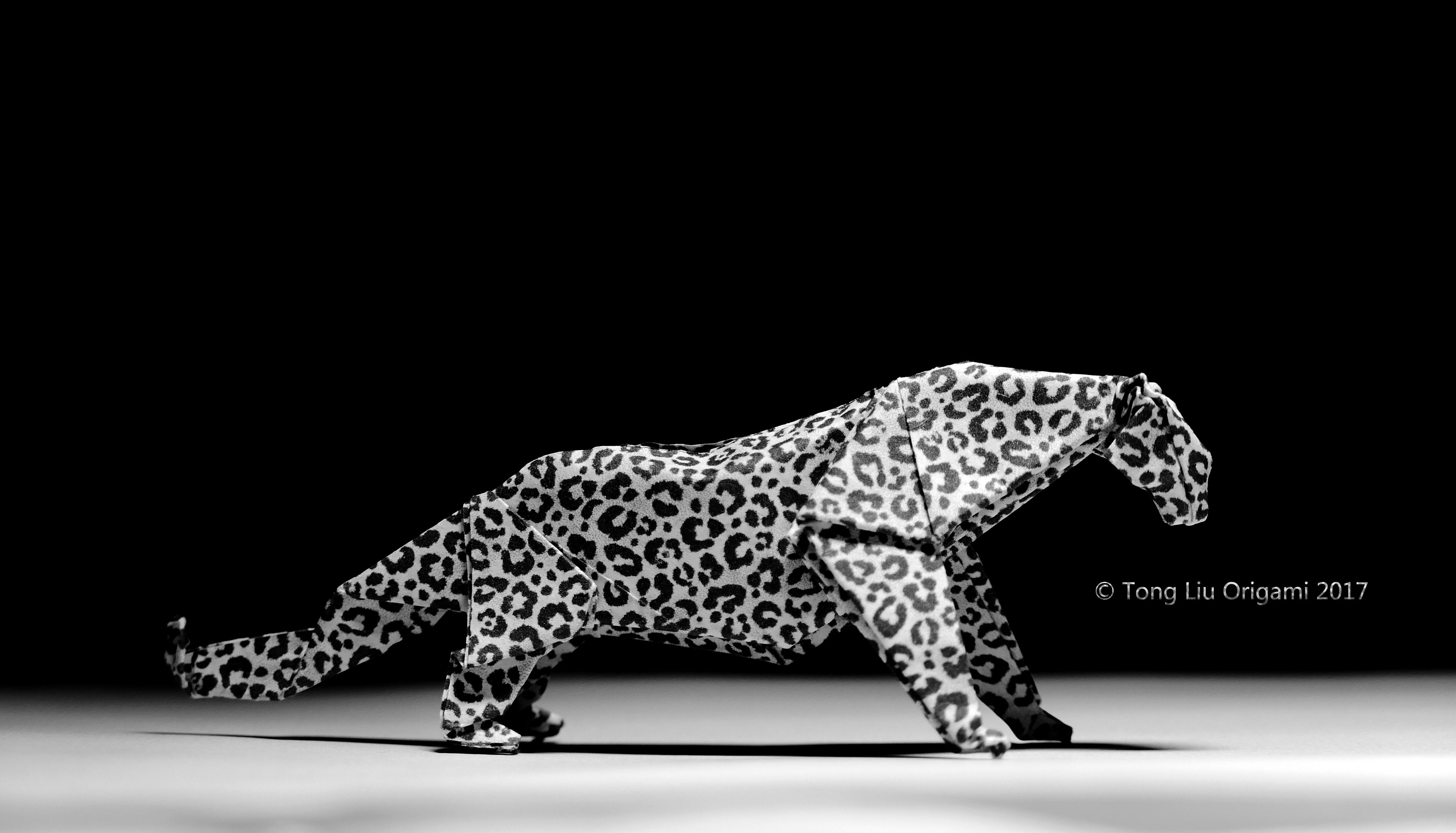 吉尼斯世界纪录折纸人,吉尼斯世界纪录折纸折了13次