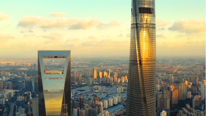 加拿大鹅卖断货,售价近万元的加拿大鹅卖断货