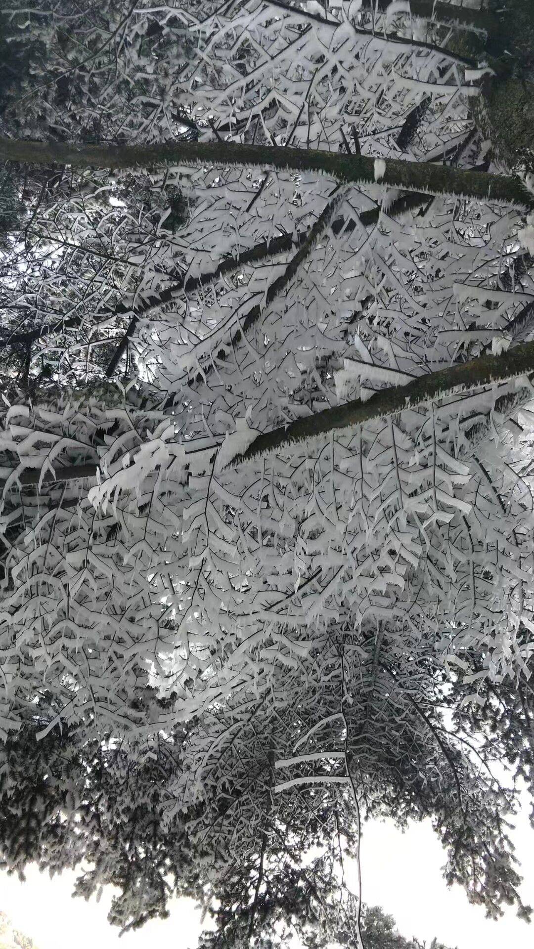 10首最美立冬诗带你一览初冬美景,带你欣赏令人陶醉优美的雪景