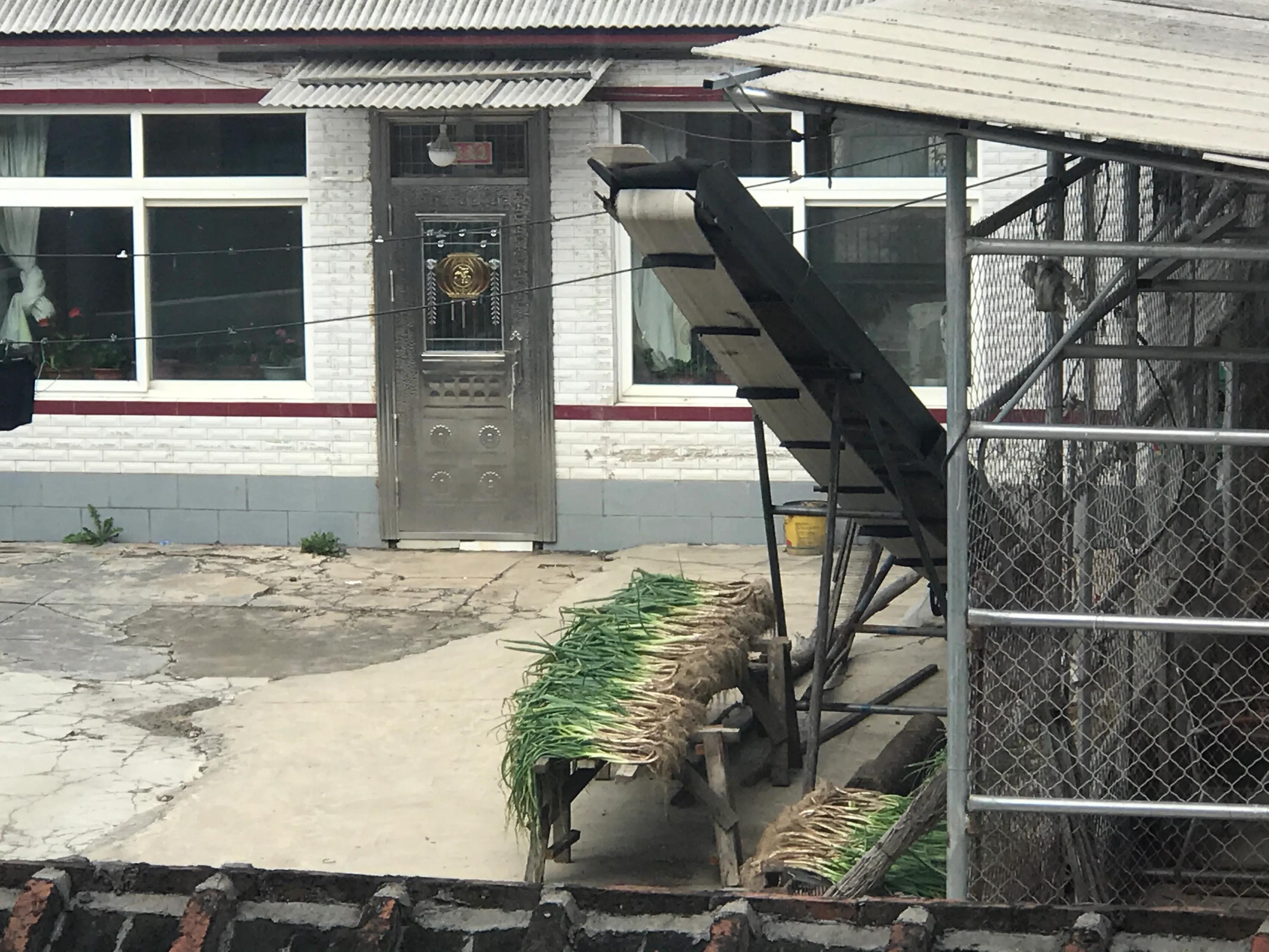 长白山脚下美丽的松山镇，因千岁的红豆杉而闻名