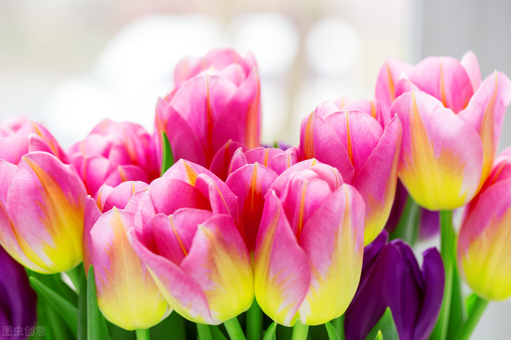 教师节用给幼儿园老师送礼物吗,致敬教师教师节的寄语