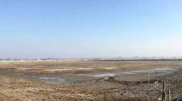 怎么高效使用生石灰？这些要点或许你还不知道