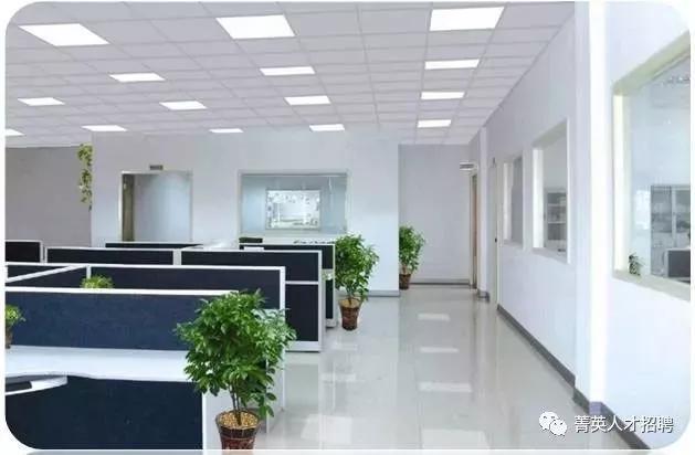 日照五征集团招聘信息,日照五征最新招聘信息