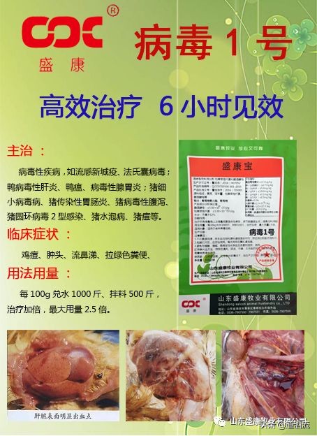 鸭子烂嘴是什么病,鸭子烂嘴巴什么原因