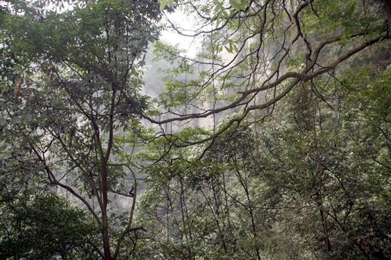 神龙峡：幽谷深深隐桃源