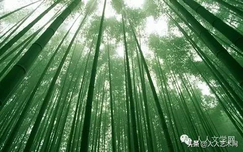 人人图文,人人贷最新事件进展