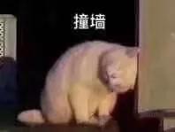 小孩手术疤痕体质怎么除疤,激光除疤适用于疤痕体质吗