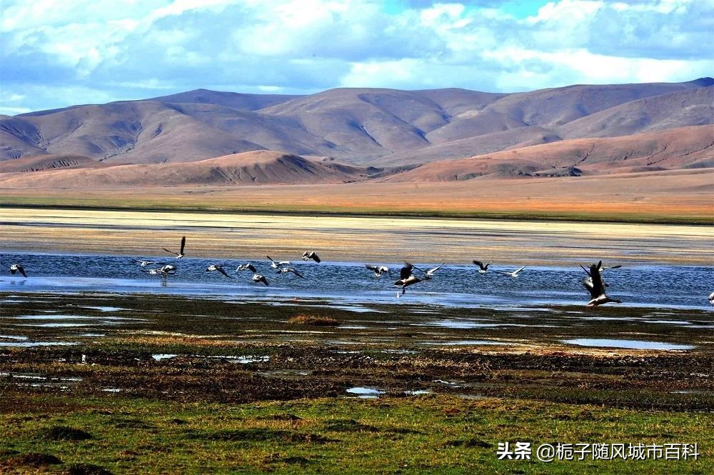 *藏西**山南下辖的12个行政区域一览