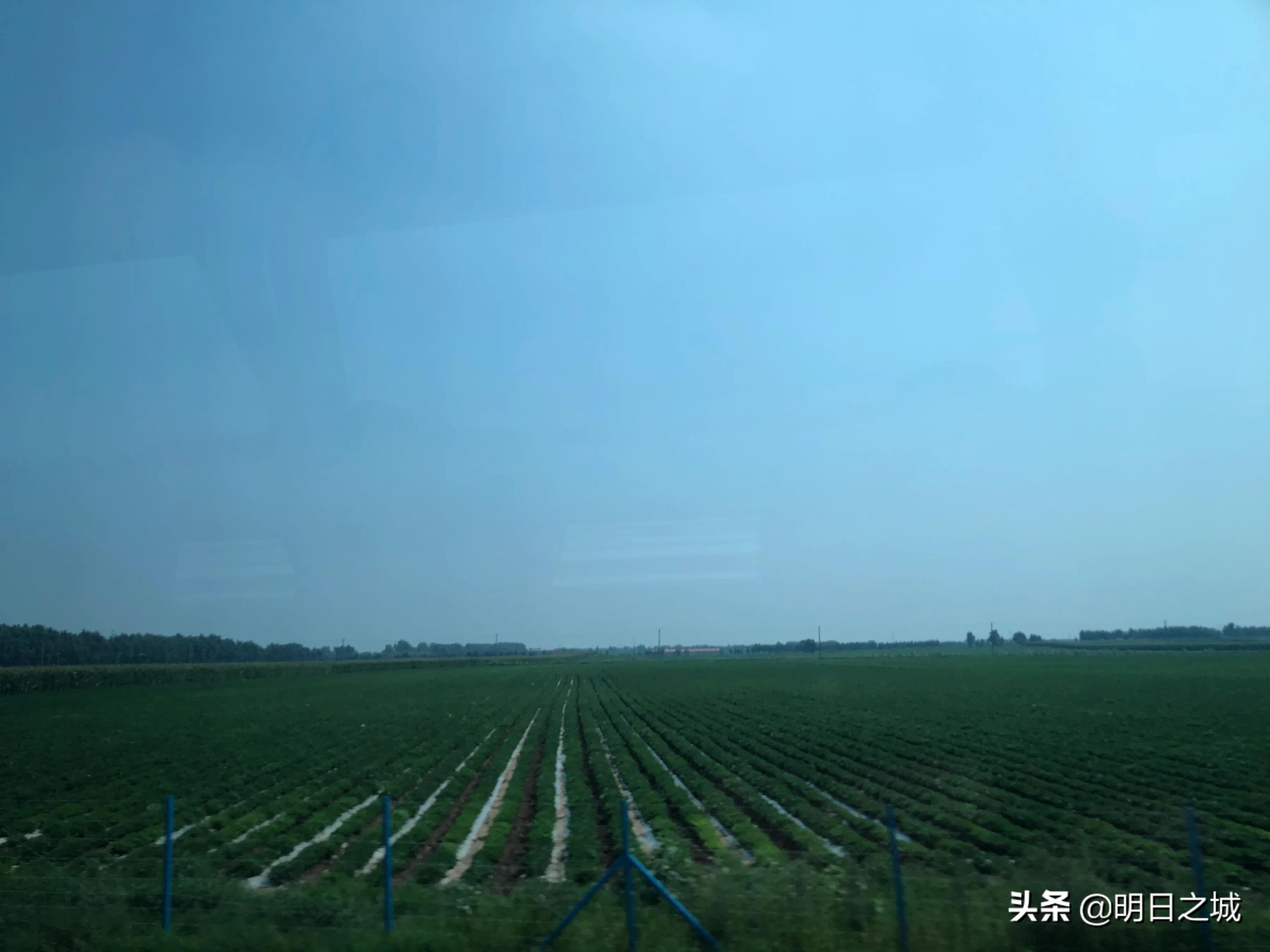 天下粮仓疫情防控片段,天下第一大粮仓榆树