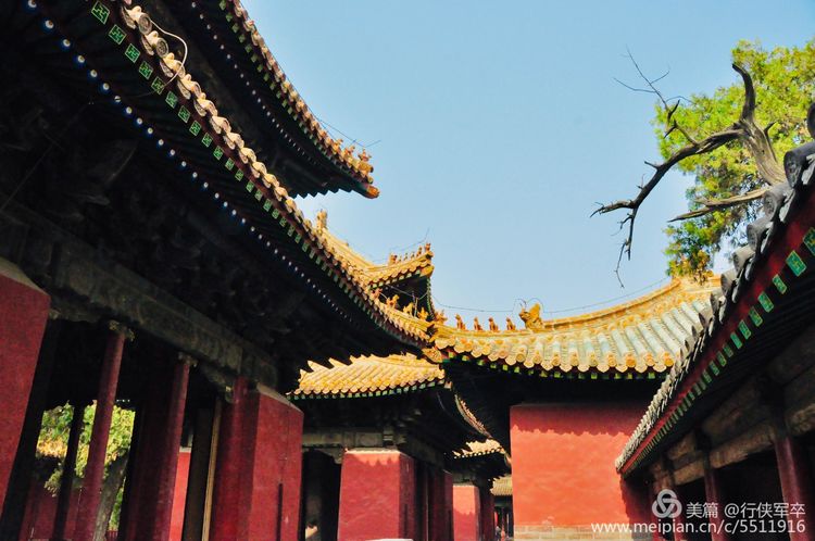 曲阜孔庙走马观花,曲阜孔庙朝圣