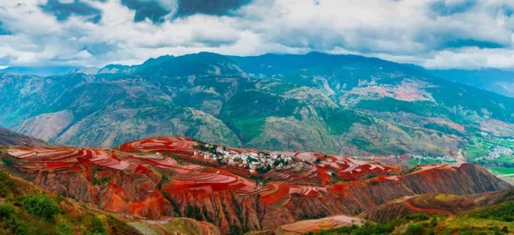 什么是云南品种,什么是云南的特色