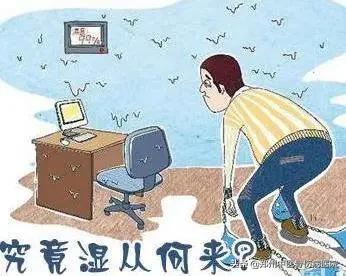 身体湿气重怎么除湿最有效,体内湿气太重怎样除湿最快而有效