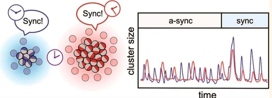 间充质干细胞治疗抑郁症,脑科学益生菌