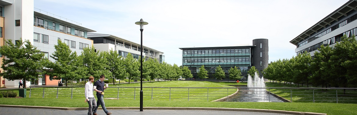 年轻有实力，世界百强+英国TOP10不倒翁，别说华威大学野鸡了