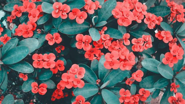 十二星座谁能让巨蟹死心,十二星座巨蟹忘不了前任