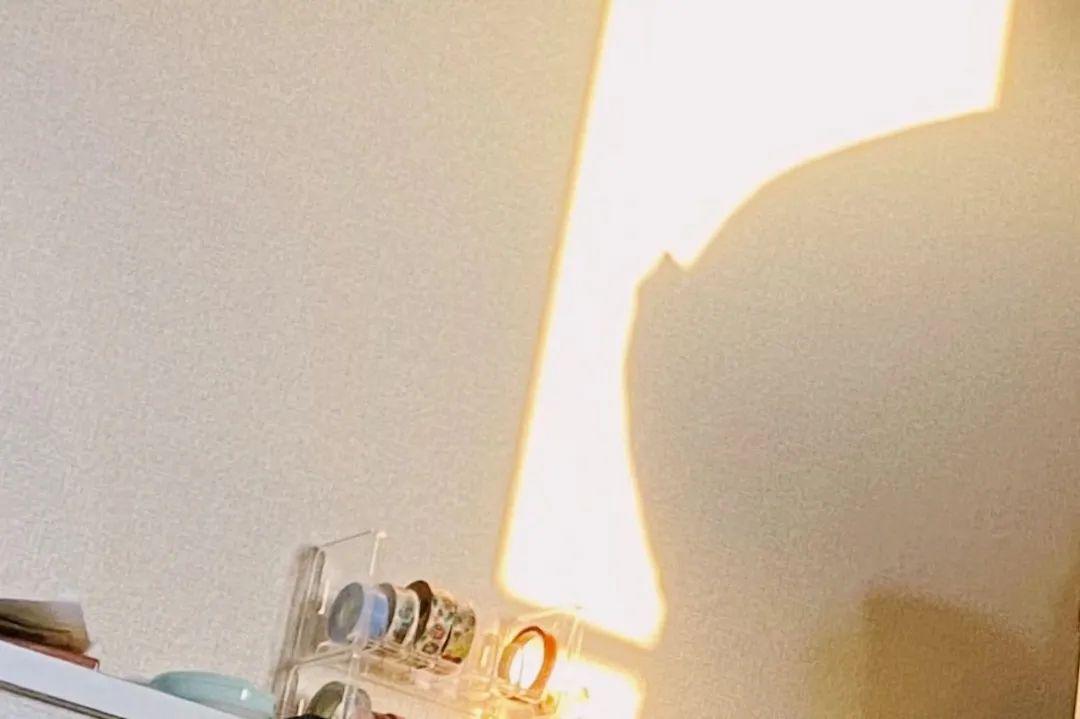 只有一张单人床的屋子,单人房两个单人床