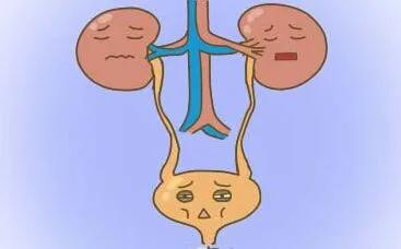 尿频尿急尿血反复发作女性,女性为什么会尿急尿频尿痛