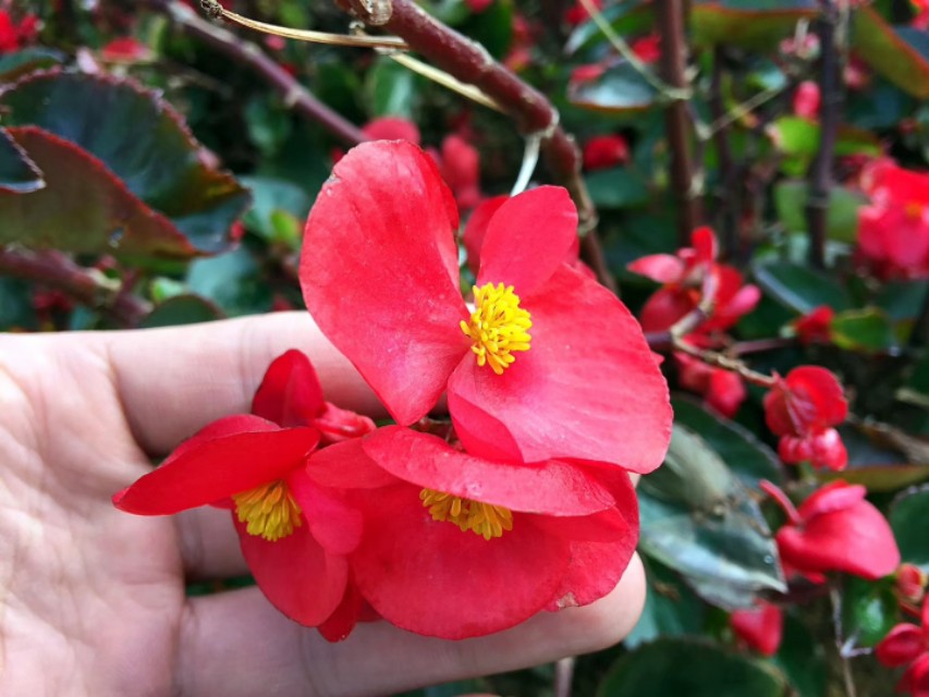 广东石门国家森林公园,广东从化石门山国家森林公园