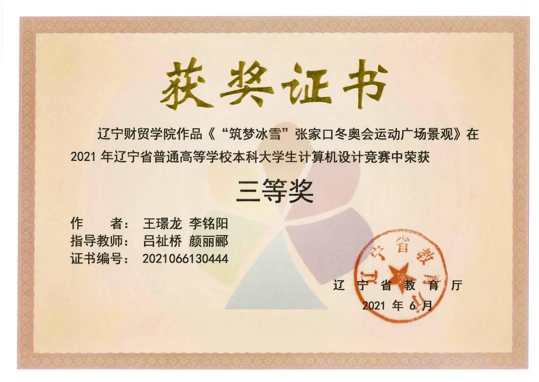 喜报我校学子再获省赛大奖,全国大学生计算机竞赛冠军