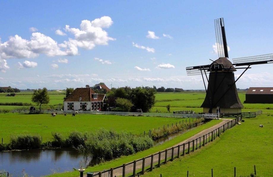 被称为“自由王国”的荷兰,到底有多开放?