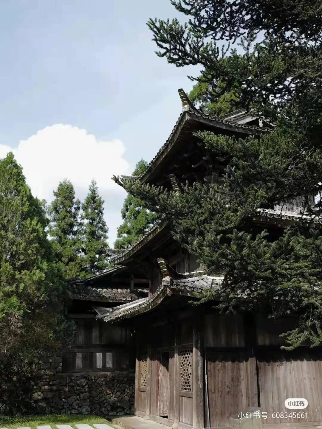 有着双重人生的小城青田，你对它的实力一无所知