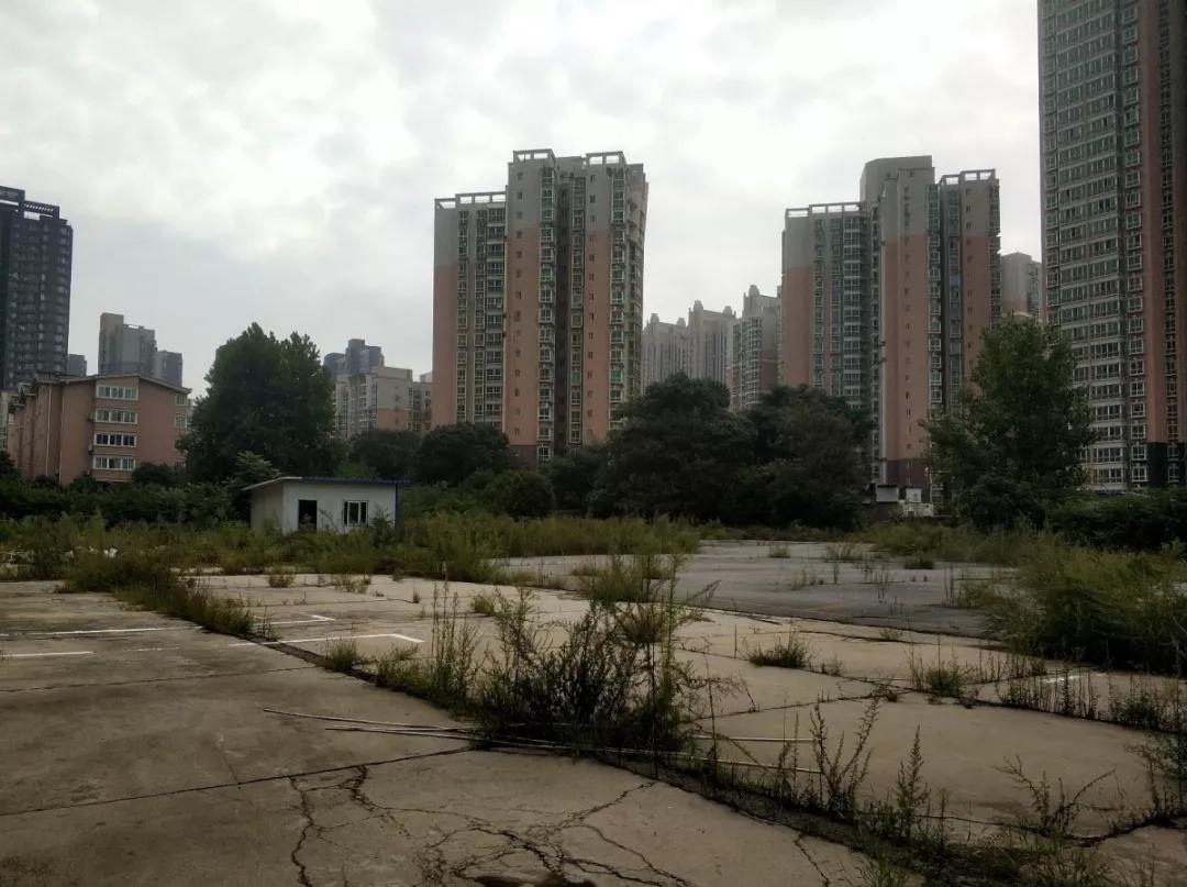 西安大寨路小学,想在大兴上小学要什么条件