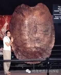 鬼斧神工地质遗珍视频,鬼斧神工的地质