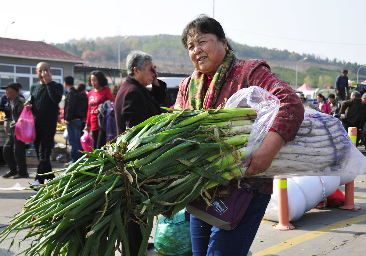 山东小姑娘卖蔬菜一年赚了150万,河南大姐卖青菜一年赚一百多万
