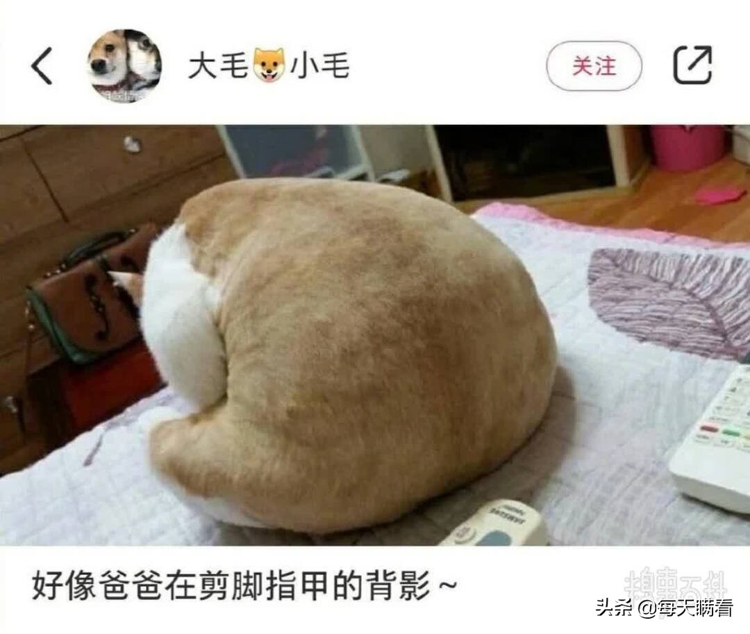 打一成语春蚕到死丝方尽,打一成语视频