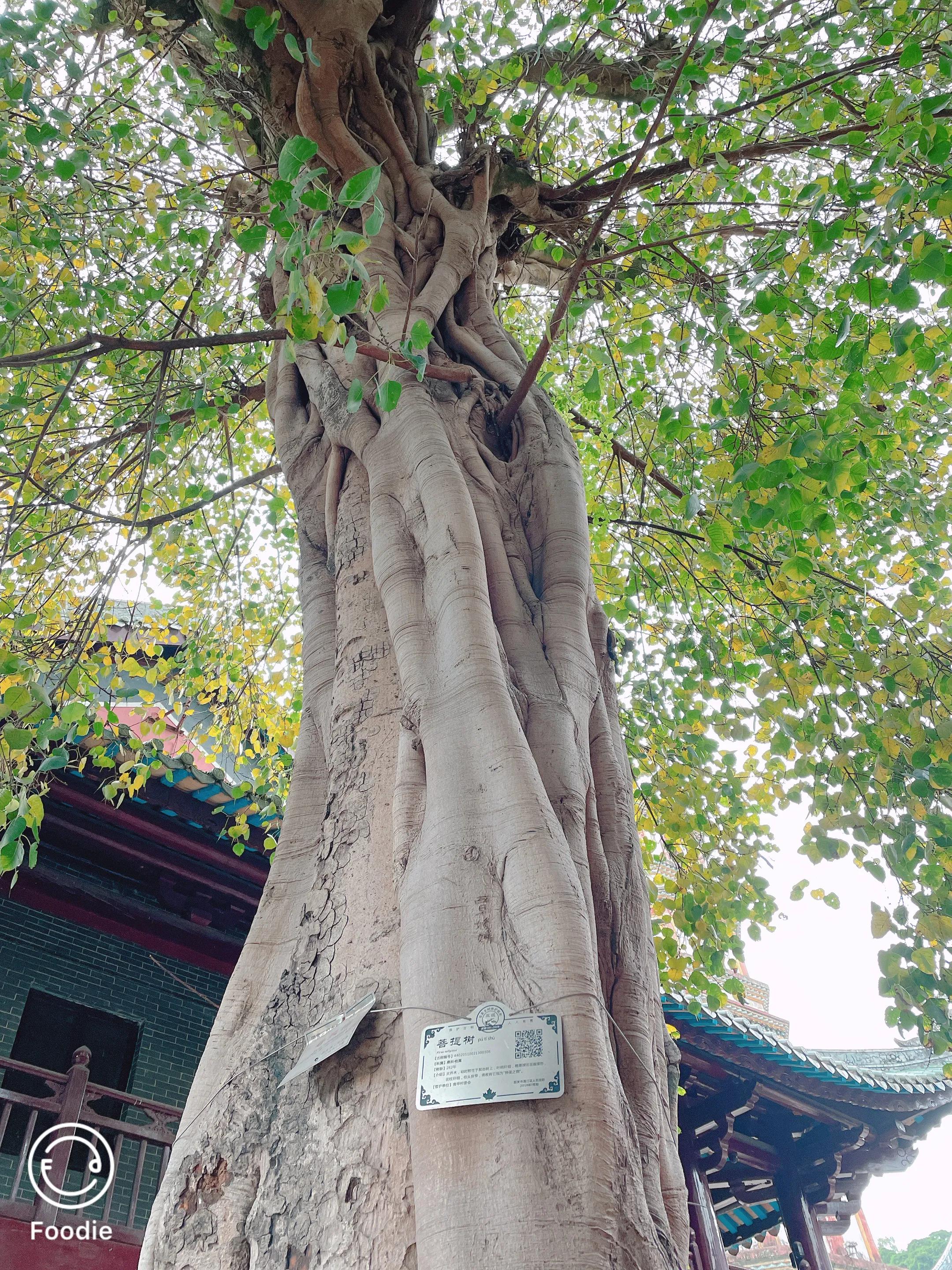 韶关畅游,韶关丹霞山两日游自由行