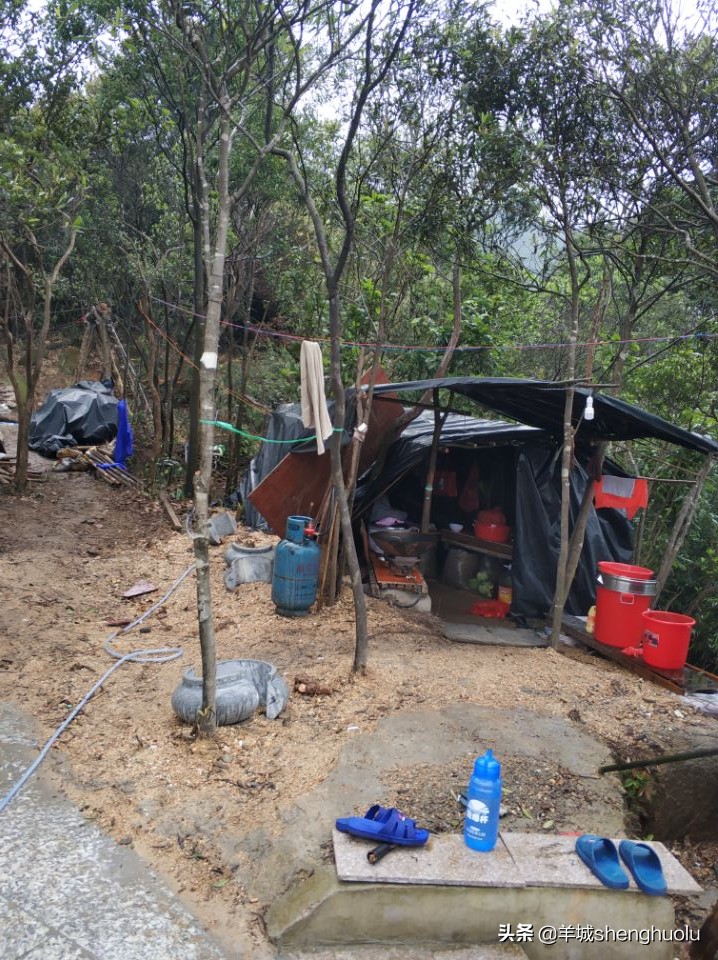 南昆山亲子游,人间仙境南昆山