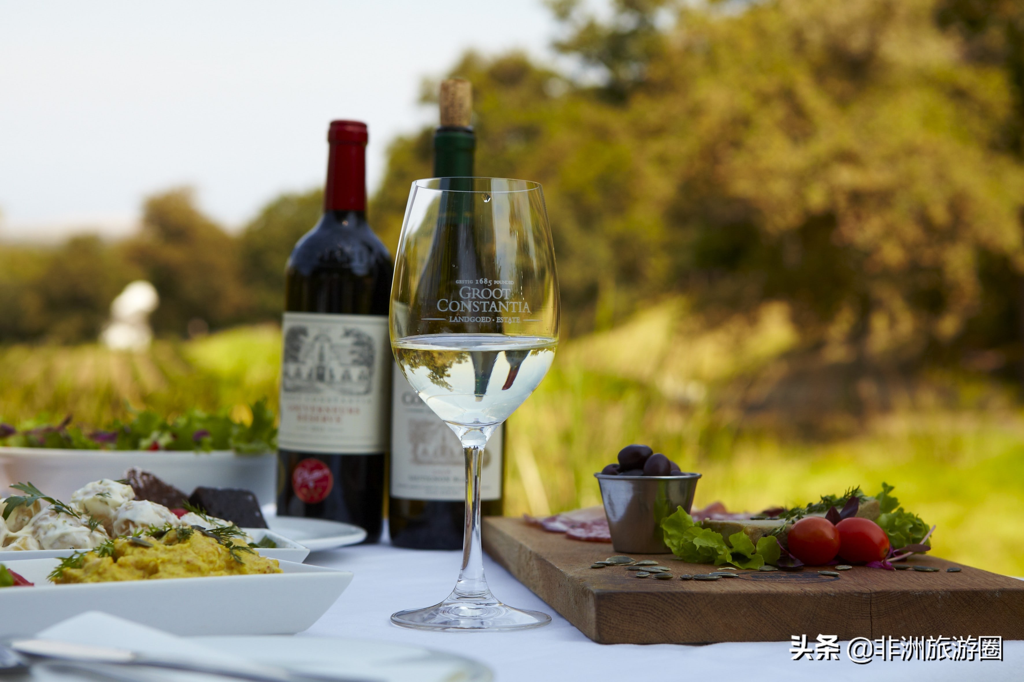 南非有什么葡萄酒好喝又便宜,南非葡萄酒品种