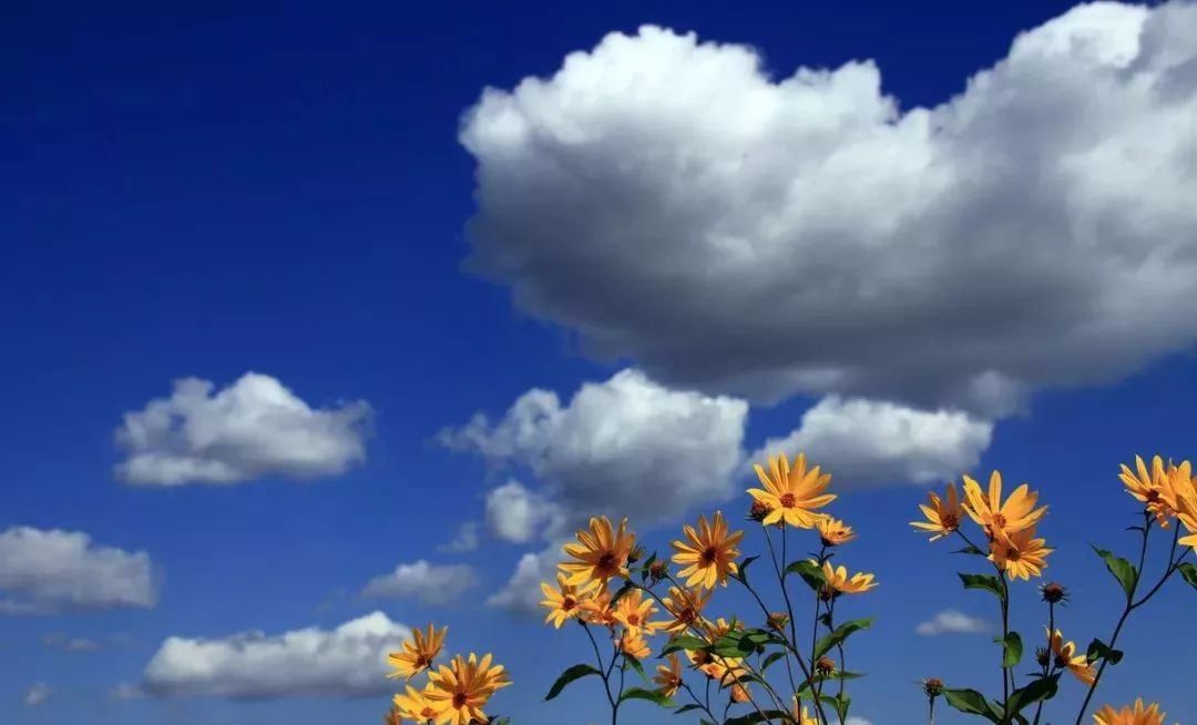 「儿童主播袁泽铭」《在路上》作者：碑林路人