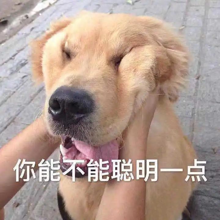 租房攻略注意什么,英国租房怎么维权