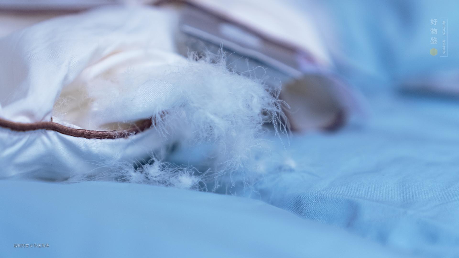 老罗鹅绒被推荐,网易严选鹅绒被测评