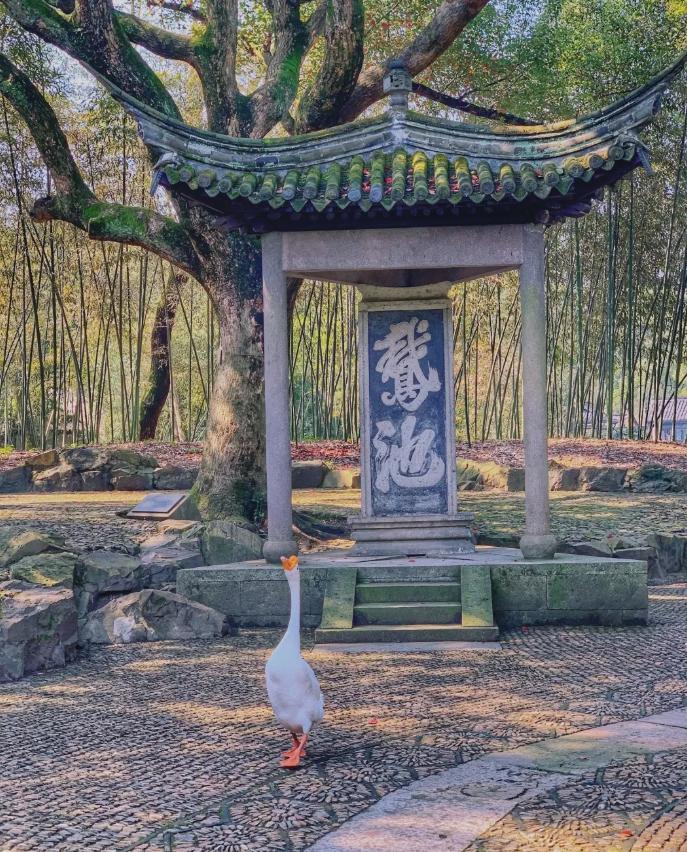 绍兴鲁迅故里哪些最值得去,鲁迅故居水乡