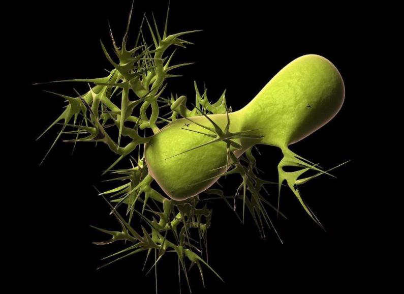 到了一定年纪就开始养生啦,才到28的年龄就该养生了