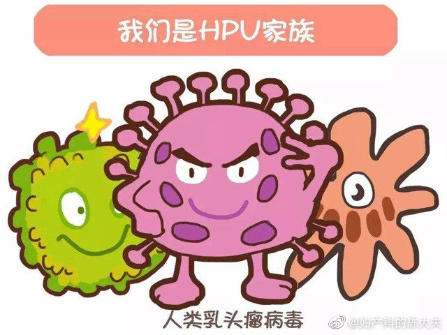为什么说检测低危型HPV没有意义?低危型HPV阳性是否=尖锐湿疣?