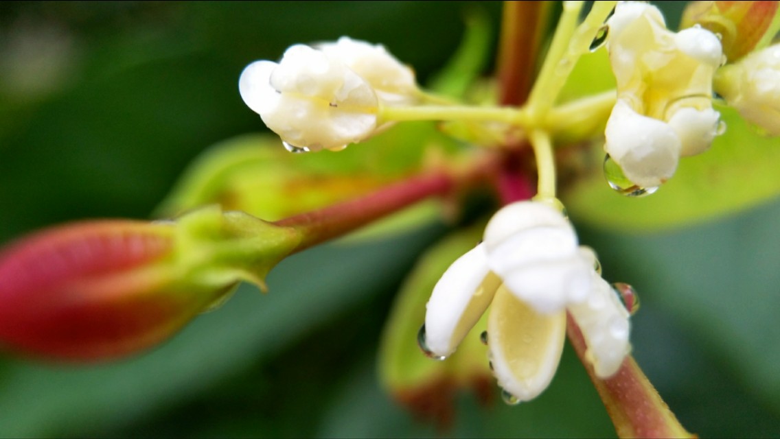 摄影的艺术魅力在哪里,摄影的艺术美感