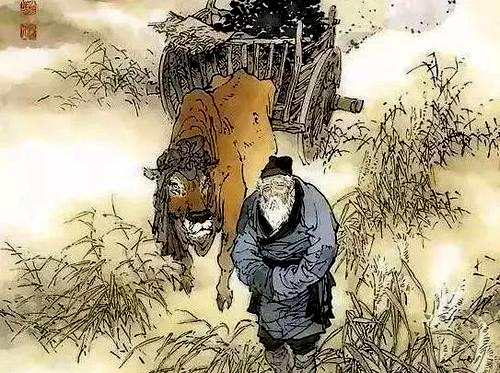 说文解字第193课,说文解字第165课