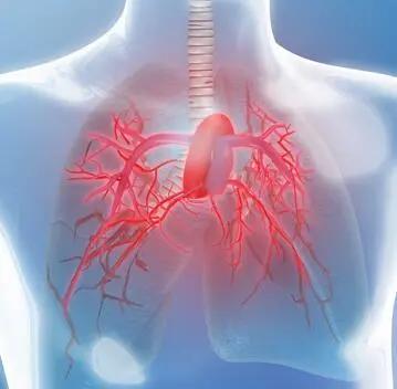 肺心病怎样保护心脏,肺心病患者秋季的养生关键