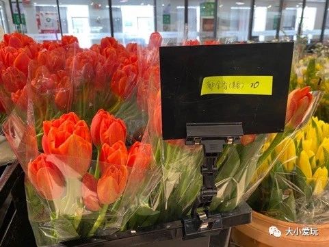 过年必逛花卉市场,北京值得去的花卉市场