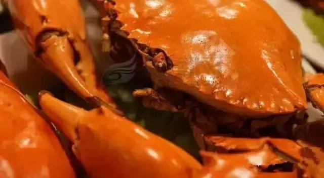 海鲜什么部位能吃什么不能吃讲解,各类海鲜哪个部位不能吃