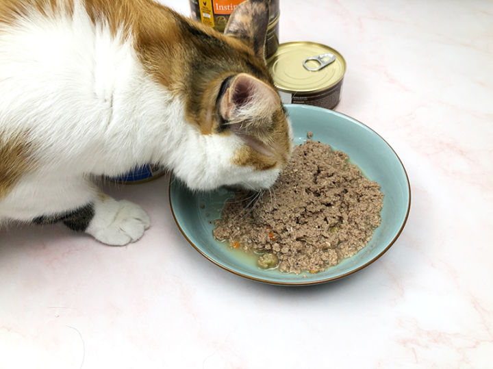 森林物语猫粮靠谱吗,海尔仕猫粮靠谱吗