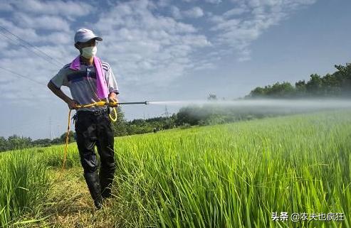 从夏至怎么算哪天入伏,夏至三庚入伏是指几天