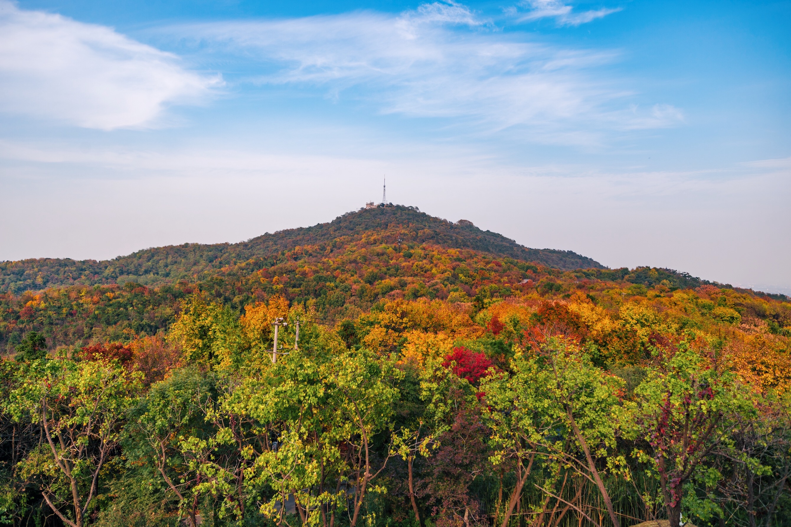 中国四大赏枫胜地南京栖霞山,南京栖霞山进入旅游赏枫季